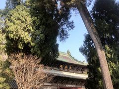 -报恩寺(平武县)