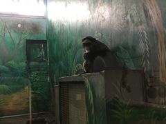 -西安秦岭野生动物园