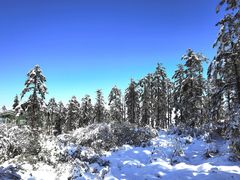 -瓦屋山景区