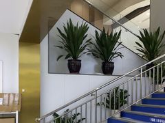 -美可普口腔医院(东街分店)