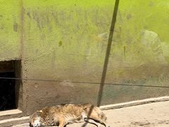 -荆州中山公园动物园