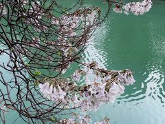 -红星桥(地铁站)