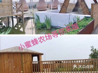 亲子游打卡圣地—小蜜蜂农场