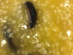 -碧中海汤泉汗蒸酒店