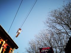 -白鹿原·白鹿仓