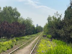 -永定河休闲森林公园