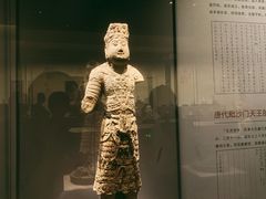 -四川大学博物馆