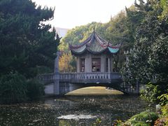 -叶家花园