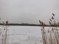 -大兴滨河森林公园