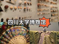 -四川大学博物馆