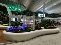 -广州白云国际机场-T2航站楼
