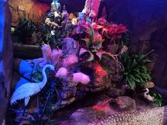 -醉小酒馆·川菜·江湖菜·重庆菜(观音桥旗舰店)