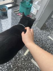 -飞梵造型