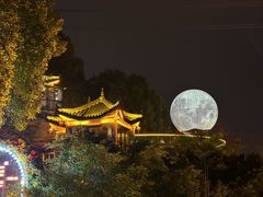 -巴倒烫陆派火锅山庄(南山总店)