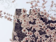 -北京明城墙遗址公园