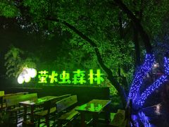 -天目湖山水园