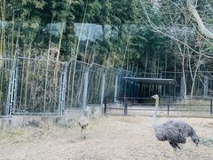 -上海野生动物园