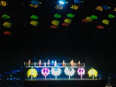 -三亚千古情景区