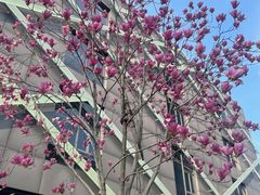 -硅谷蒙学幼儿园