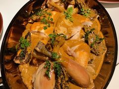 三黄鸡羊肚菌烩饭-Oyster Talks 四度蚝法餐厅