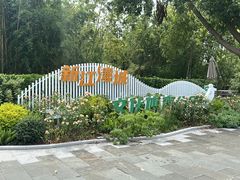 -新江湾城公园