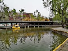-团结湖公园