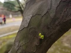-白塘生态植物园