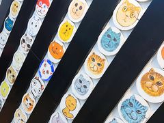 -萌喵宠狗爱心宠咖