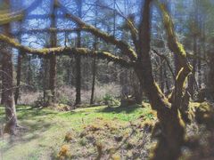 -硗碛藏寨·神木垒景区