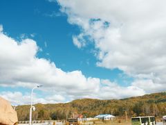 -五营红松林海景区