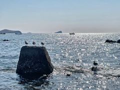 -银沙滩浴场