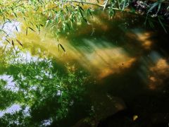 -水绘园