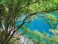-叠溪松坪沟景区