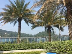 -中国移动南方基地