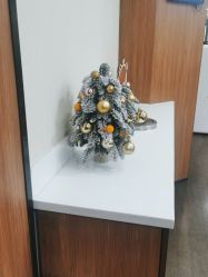 -上海玫瑰医疗美容医院