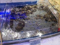 -澜悦港海鲜体验主题餐厅