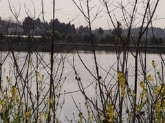 -仙海旅游度假区