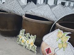 -苏州市吴中区光福窑上花果蜜饯厂