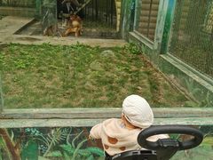 -西安秦岭野生动物园