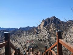 -大岭沟猕猴桃谷风景区