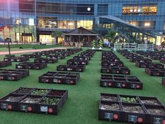 -大族广场Mall&More