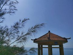 -广东惠东海龟国家级自然保护区