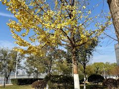 -武昌江滩