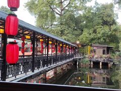 -侨美·唐荔园·40年地道粤菜