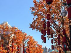 -沈阳方特欢乐世界