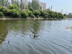 -前关湿地公园