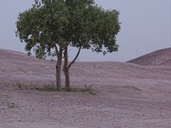 -敦煌雅丹国家地质公园