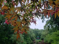 -岳麓山风景名胜区