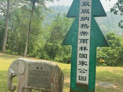 -中国科学院西双版纳热带植物园