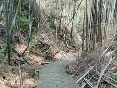 -午潮山国家森林公园